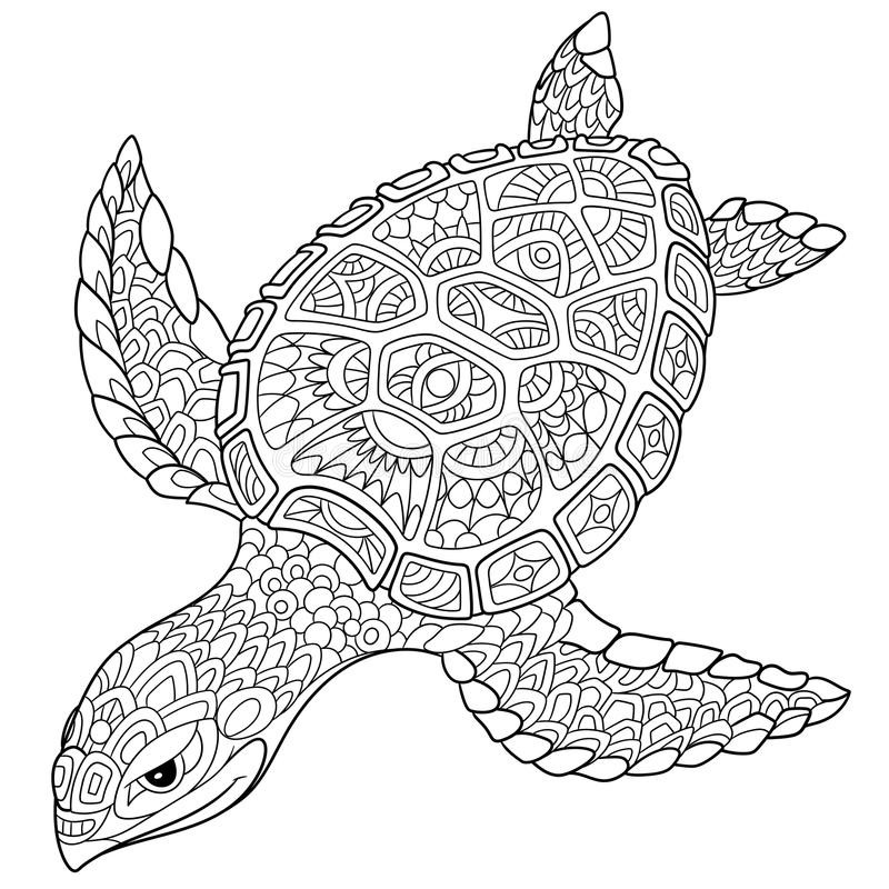 Turtle Coloring Pages For Adults
 Zentangle stylized turtle stock vector Illustration of