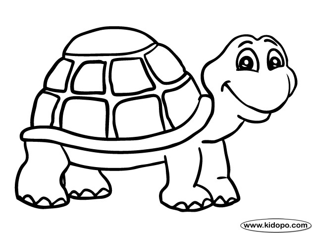 Turtle Coloring Pages Printable
 Turtle 1 coloring page