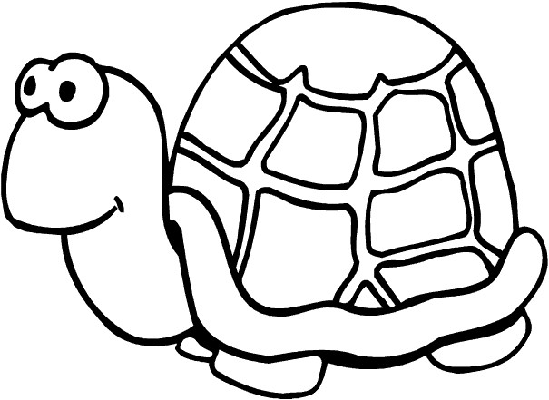 Turtle Coloring Pages Printable
 Turtle Cute Animal Pages Printable For Drawing
