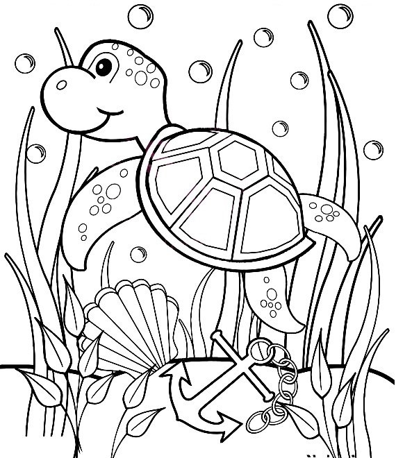 Turtle Coloring Pages Printable
 Sea Turtle Coloring Pages