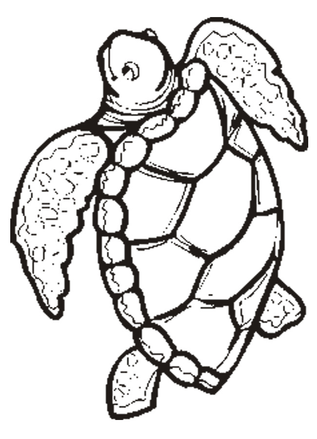 Turtle Coloring Pages Printable
 Free Printable ANimal " Turtle " Coloring Pages