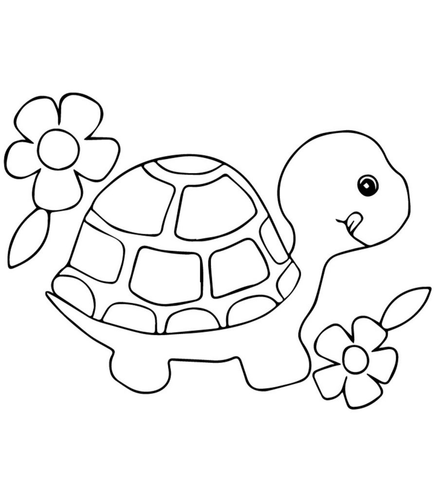 Turtle Coloring Pages Printable
 Top 20 Free Printable Turtle Coloring Pages line