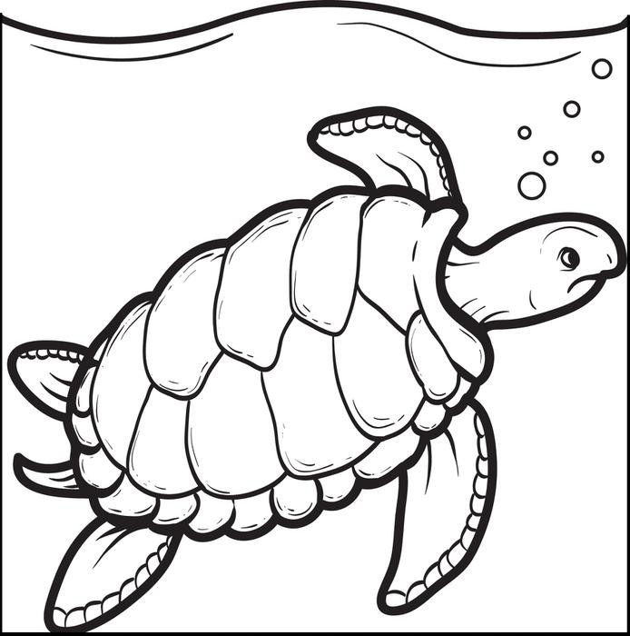 Turtle Coloring Pages Printable
 Sea Turtle Drawing For Kids at GetDrawings
