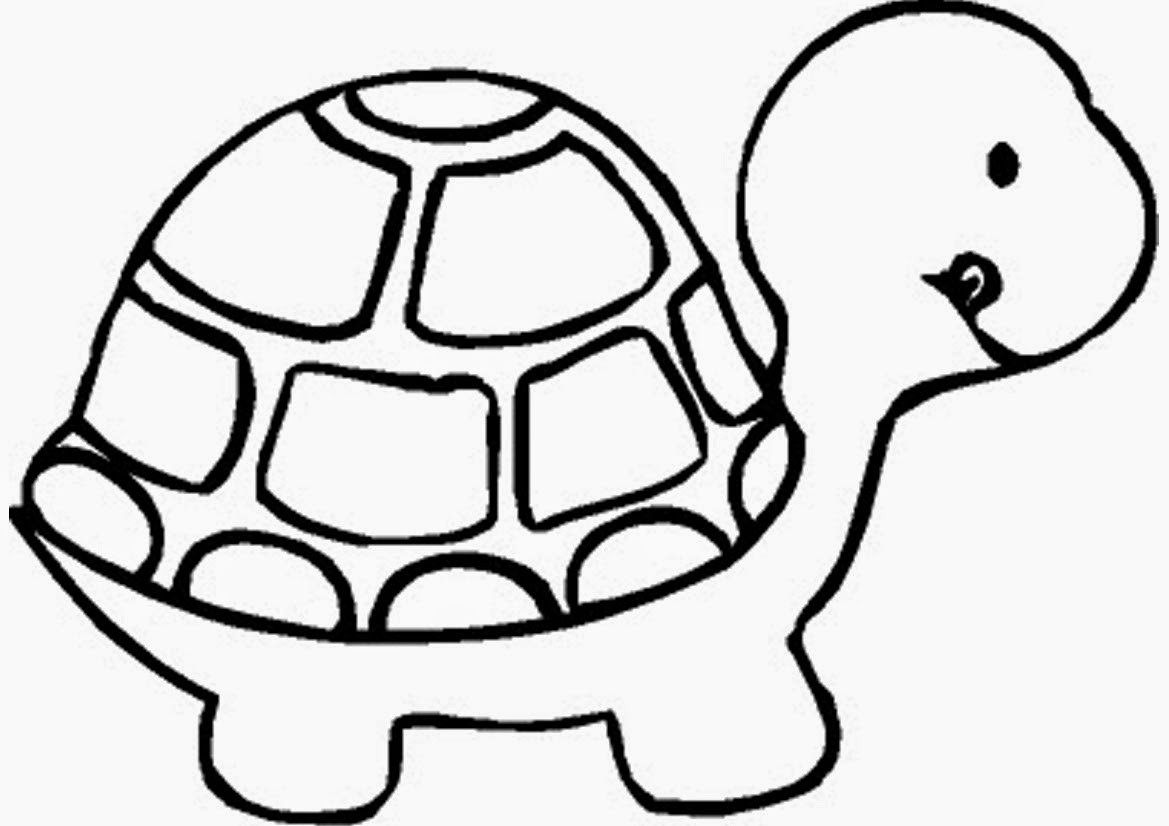 Turtle Coloring Pages Printable
 Coloring Pages Turtles Free Printable Coloring Pages