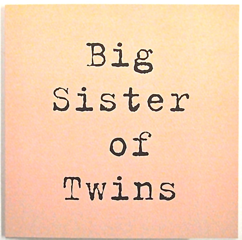 Twin Birthday Quotes
 Birthday Quotes For Twins QuotesGram