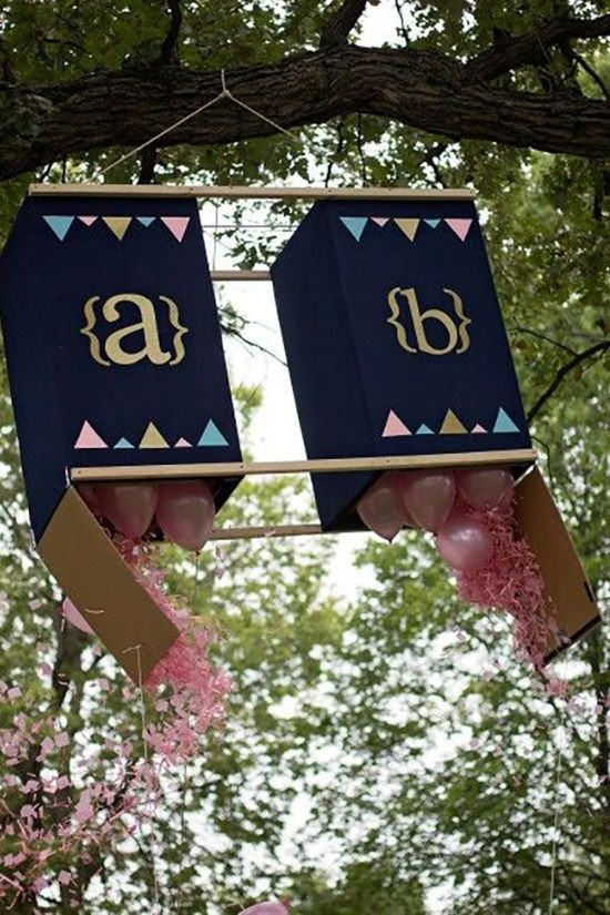 Twin Gender Reveal Party Ideas
 74 best Gender Reveal Party Ideas images on Pinterest