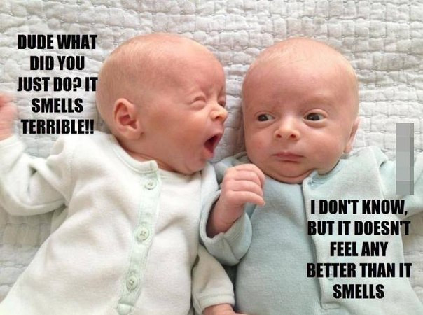 Twins Quotes Funny
 35 Best Funny Quotes Suitable to Cute Babies