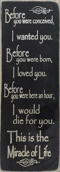 Unborn Baby Quotes And Sayings
 To My Unborn Baby Quotes QuotesGram