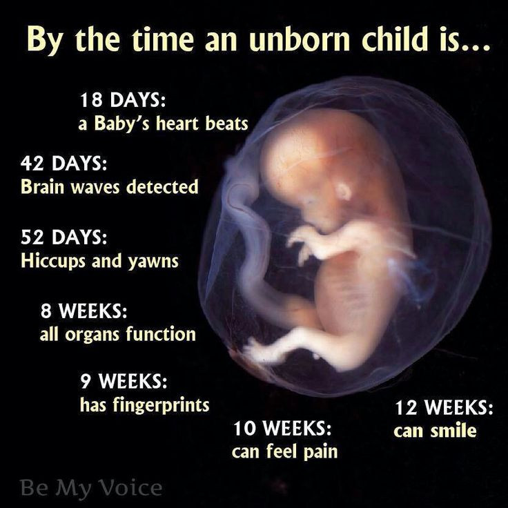 Unborn Baby Quotes For Daddy
 Daddy Quotes For Unborn Baby QuotesGram