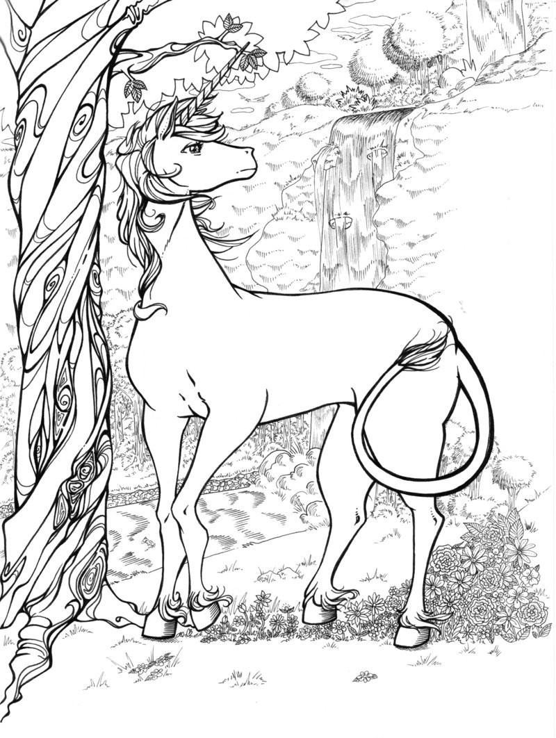 Unicorn Coloring Pages Printable
 unicorns coloring pages