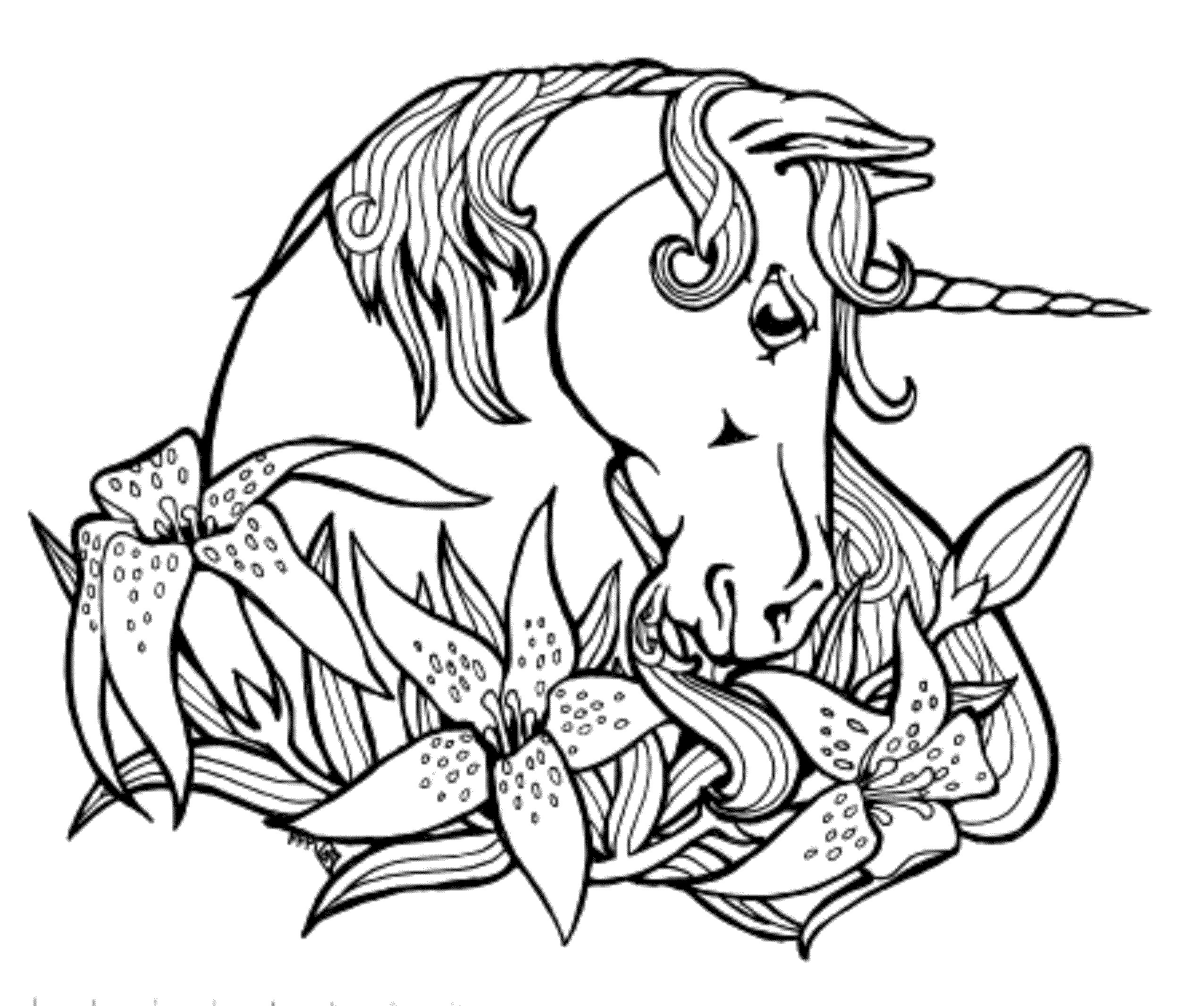 Unicorn Coloring Pages Printable
 Print & Download Unicorn Coloring Pages for Children