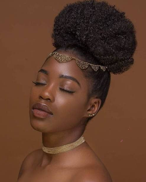 Updo Hairstyles For Natural Black Hair
 37 Gorgeous Natural Hairstyles For Black Women Quick
