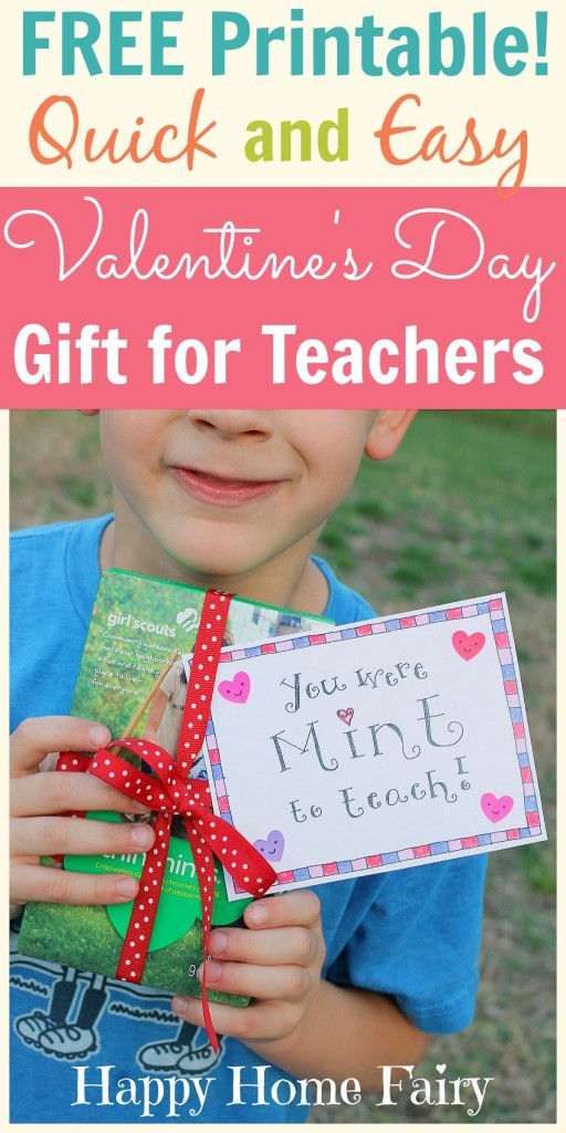 Valentine Gift Ideas For College Son
 Valentine Gift Ideas for Teachers Happy Home Fairy