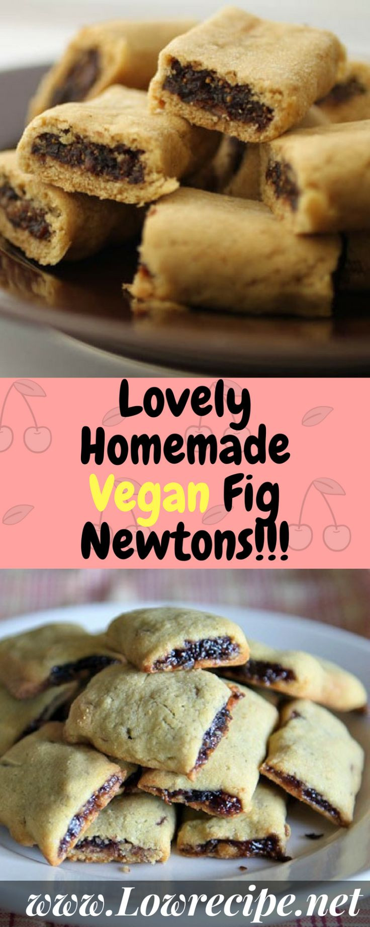 Vegan Fig Recipes
 Lovely Homemade Vegan Fig Newtons Low Recipe