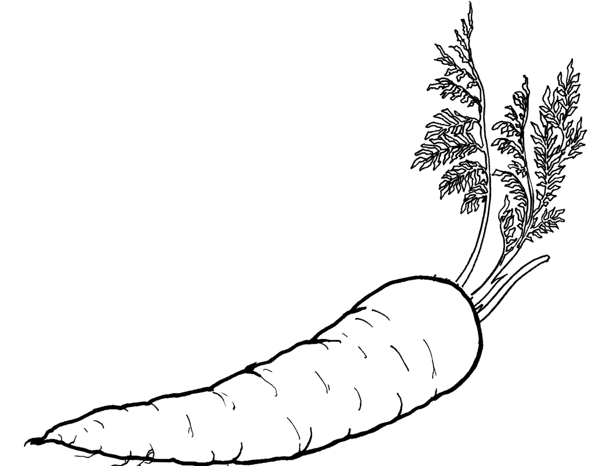 Vegetable Coloring Book Kids
 Ve able Coloring Pages Best Coloring Pages For Kids
