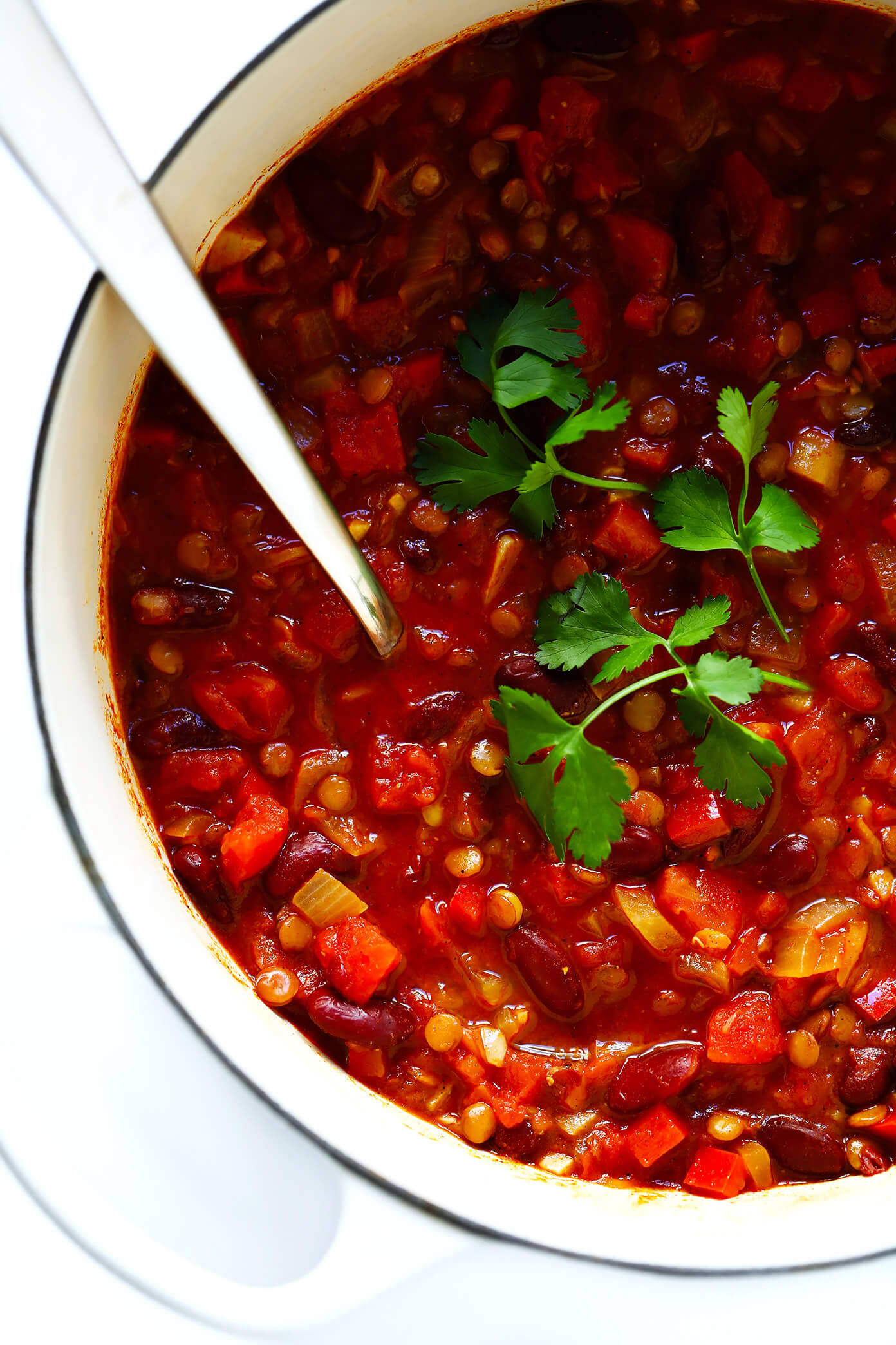 Vegetarian Chili Recipes
 Can t Believe It s Ve arian Chili
