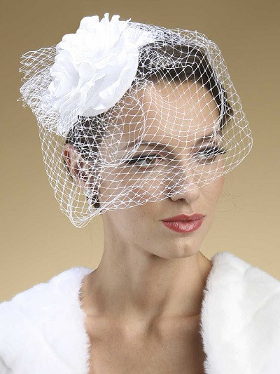 Veil Hats Weddings
 2015 Wedding Veil Inspirations Dave Shannon Music