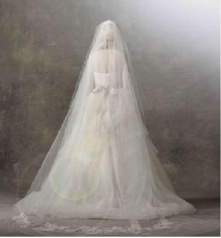 Vera Wang Wedding Veil
 Vera Wang Two tier Chapel Length Veil With Lace Applique