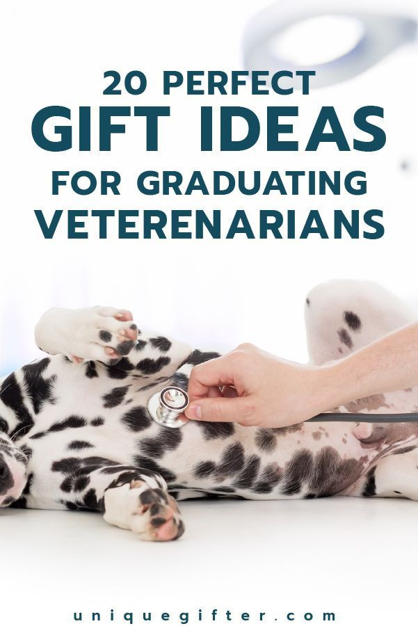 Vet School Graduation Gift Ideas
 20 Gift Ideas for Graduating Veterinarians