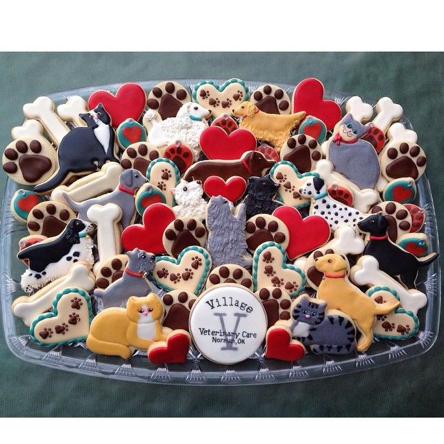 Veterinarian Graduation Party Ideas
 9 best vet tech grad cake images on Pinterest