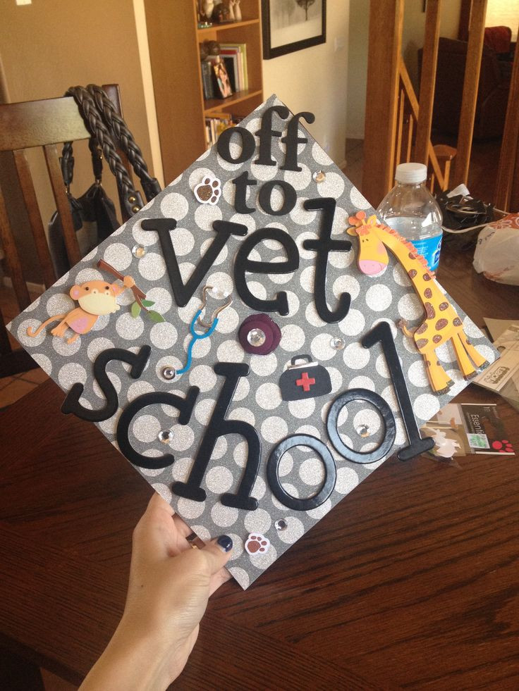 Veterinarian Graduation Party Ideas
 9 best Graduation caps images on Pinterest