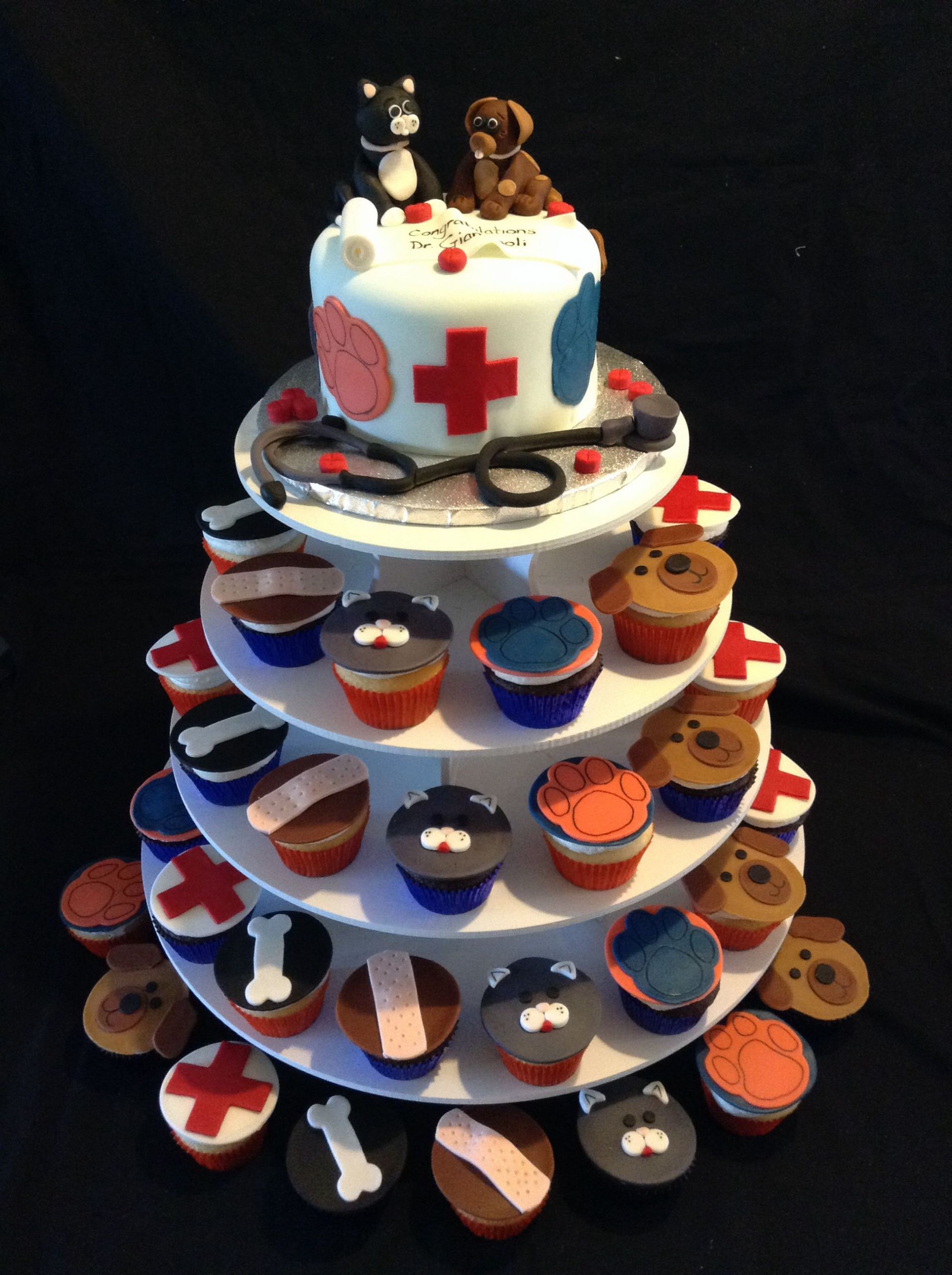 Veterinarian Graduation Party Ideas
 Veterinarian Cake