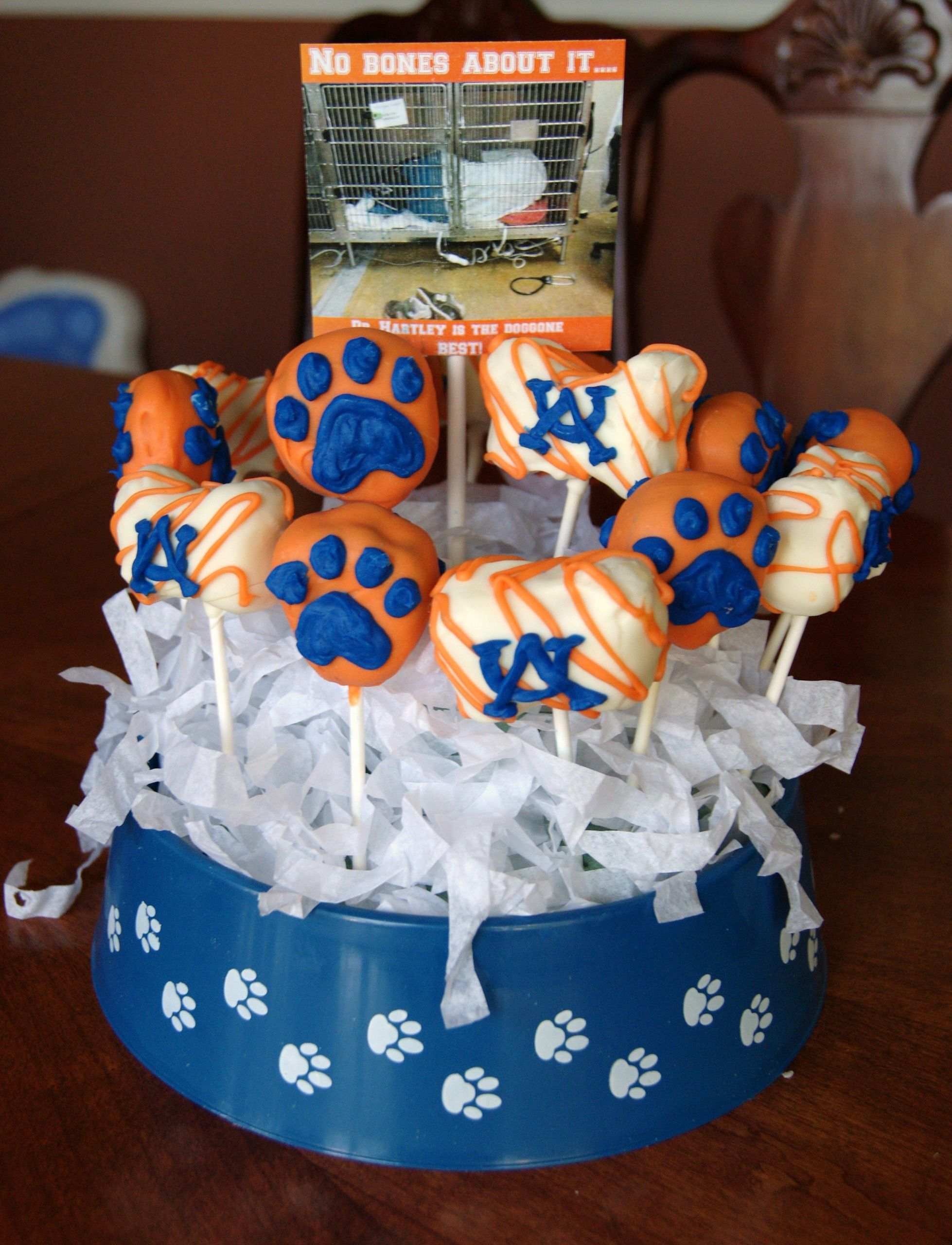 Veterinarian Graduation Party Ideas
 bone and paw print cake pops for a very special