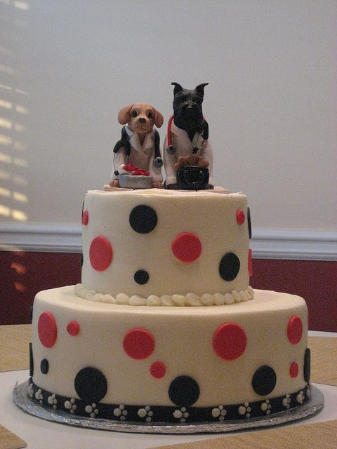 Veterinarian Graduation Party Ideas
 Veterinary school graduation cake topper by Laurie Valko