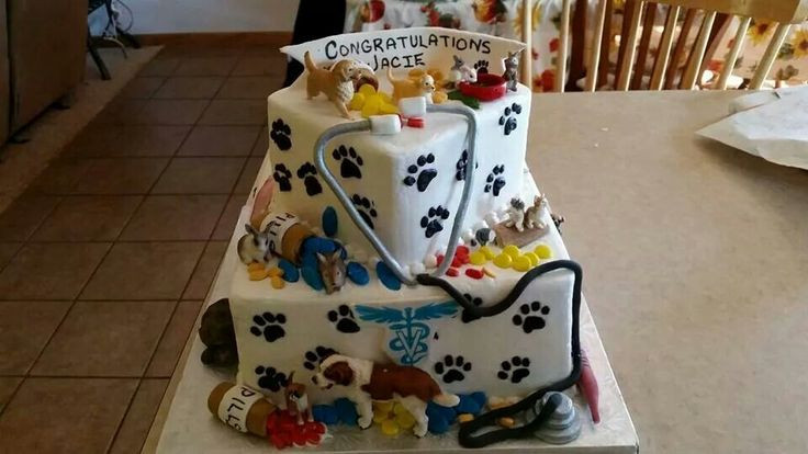 Veterinarian Graduation Party Ideas
 83 best Vet cakes images on Pinterest