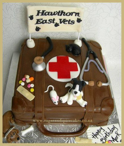 Veterinarian Graduation Party Ideas
 Vet s Cake Cake by MelSugarMama