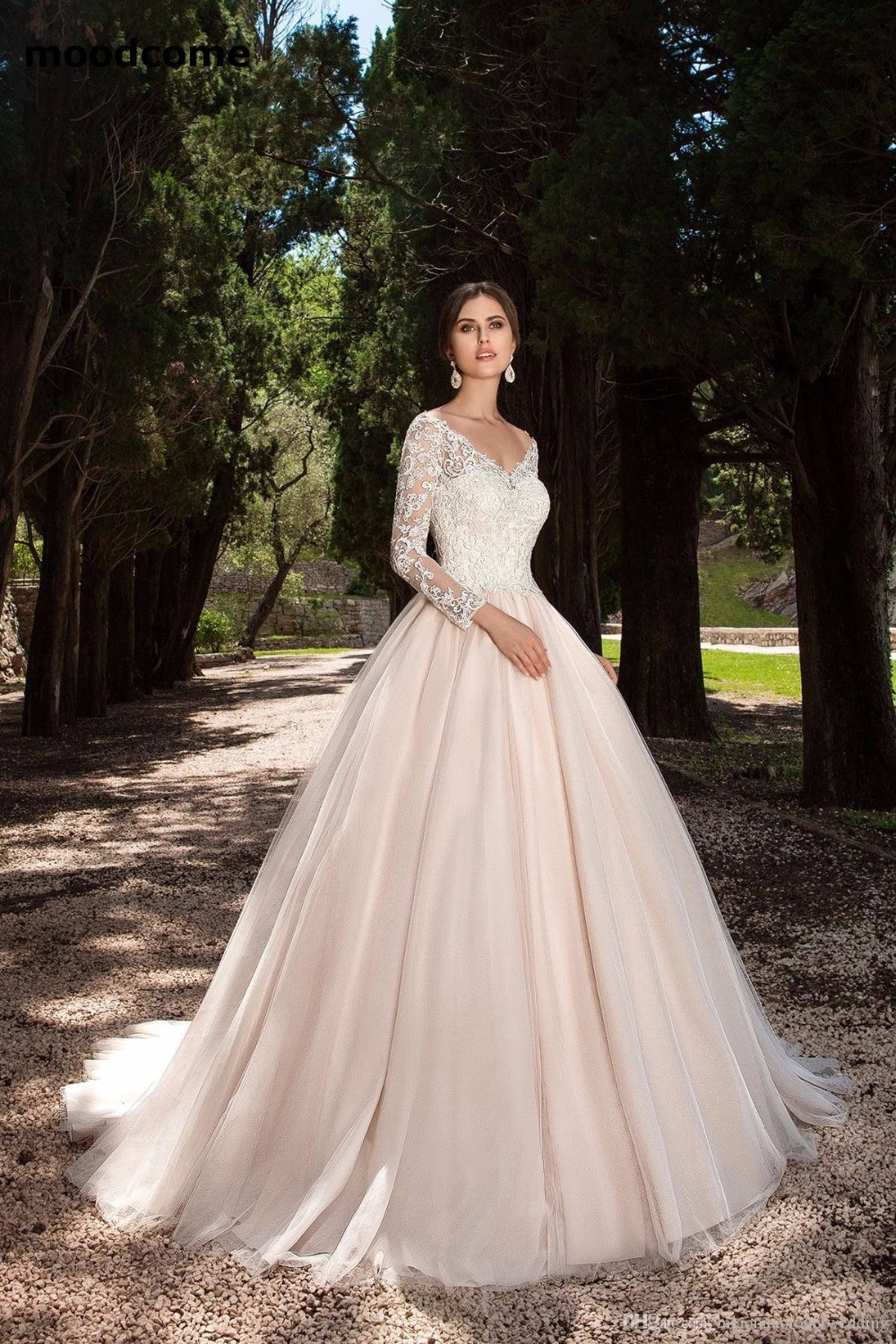 Vintage Ball Gown Wedding Dresses
 2019 Plus Size Wedding Dresses V Neckline Lace Appliques