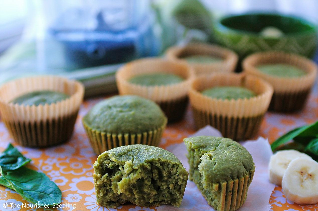 Vitamix Baby Food Recipes
 Banana Spinach & Oat Blender Muffins made in the Vitamix
