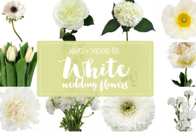 Wedding Flower Names
 Wedding DIY Archives