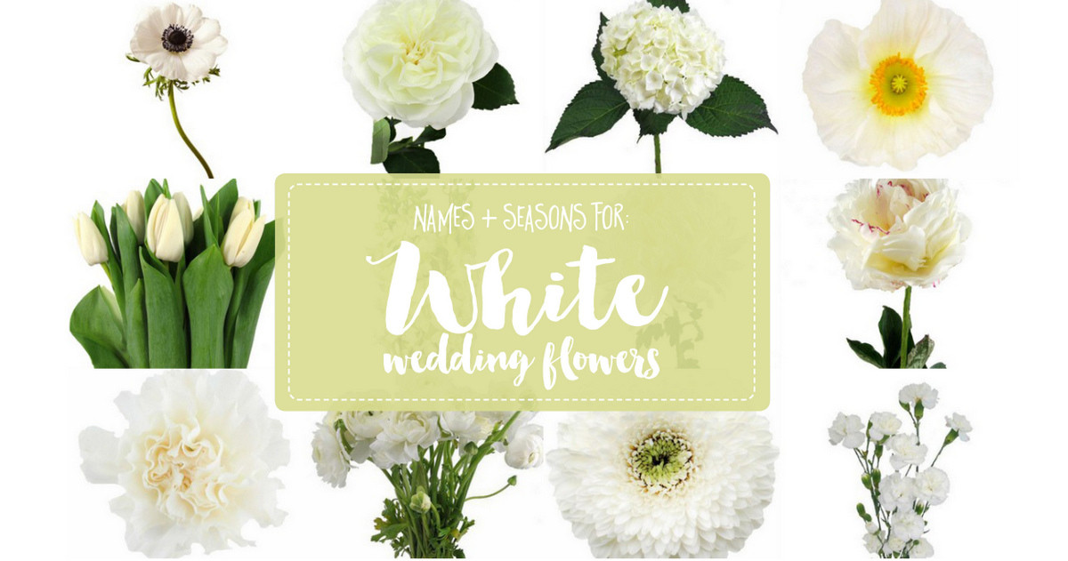 Wedding Flower Names
 White Wedding Flowers Guide Types of White Flowers Names