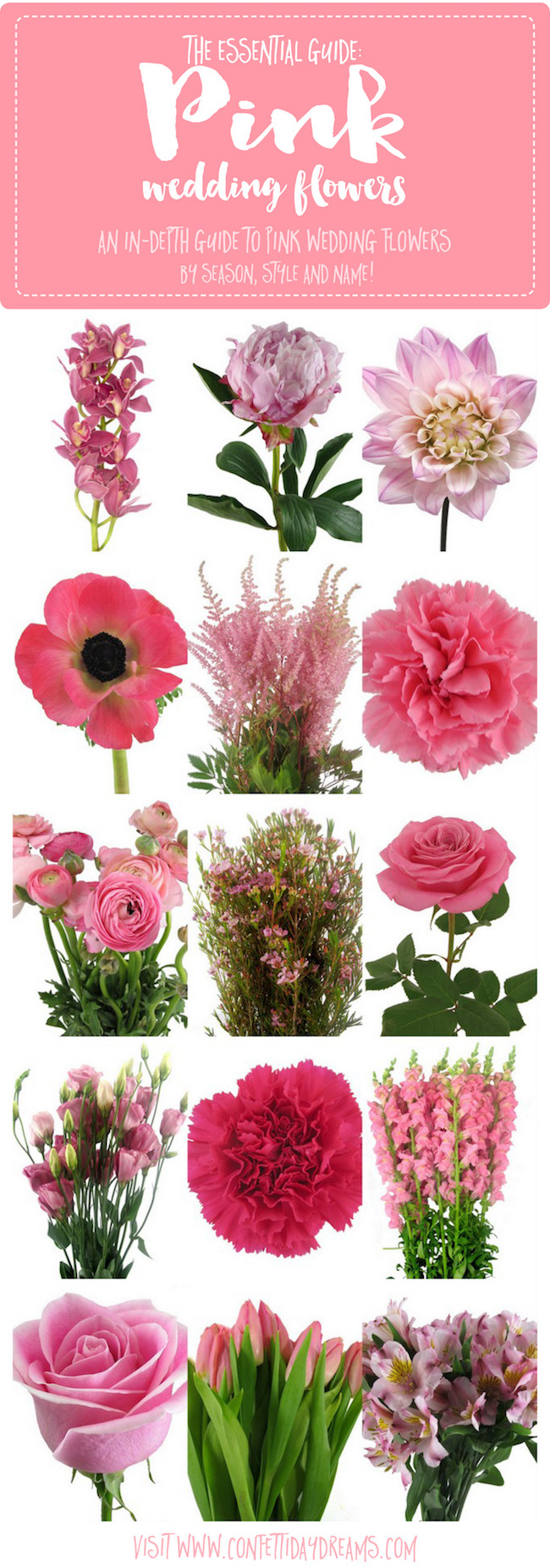 Wedding Flower Names
 The Essential Pink Wedding Flowers Guide Types of Pink