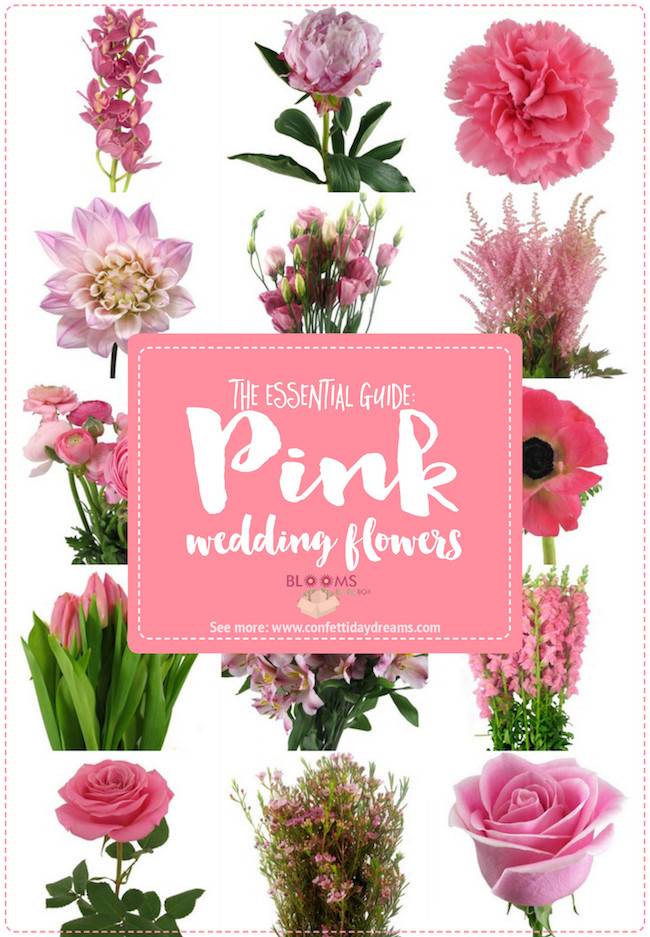 Wedding Flower Names
 The Essential Pink Wedding Flowers Guide Types of Pink