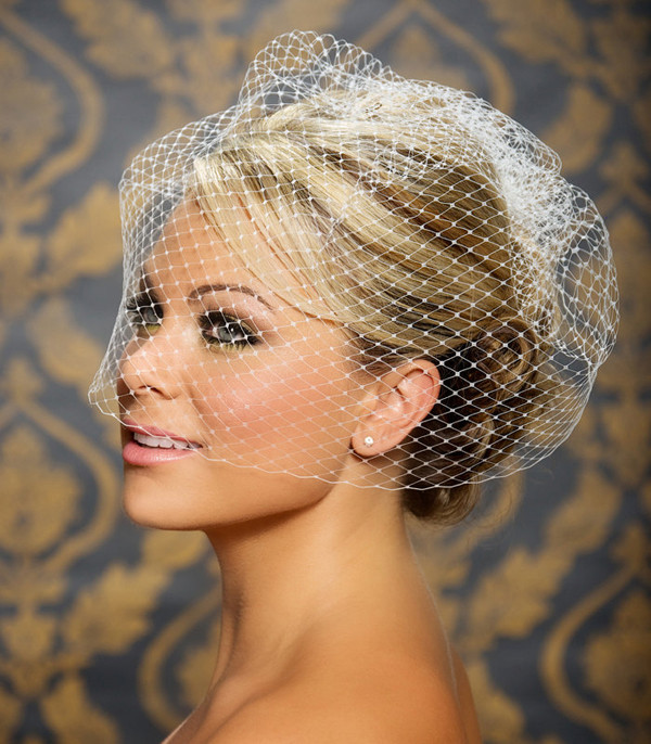 Wedding Hair With Birdcage Veil
 Wedding hairstyles with birdcage veil Hairstyle for