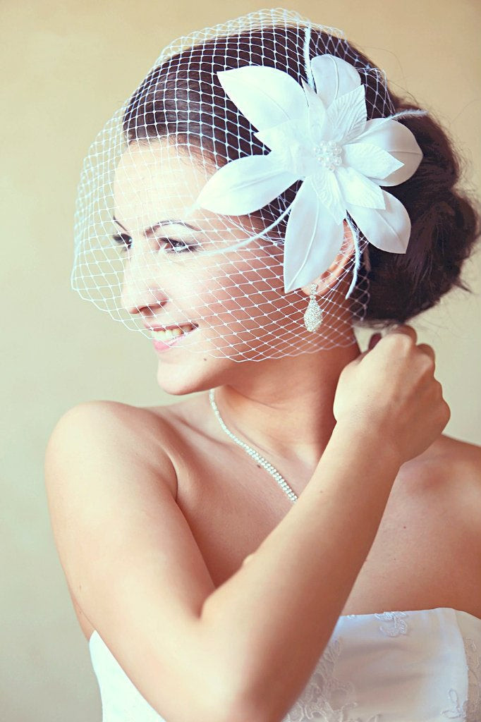 Wedding Updos With Birdcage Veil
 Birdcage Veil Wedding Hairstyles Wedding Fascinator Bridal