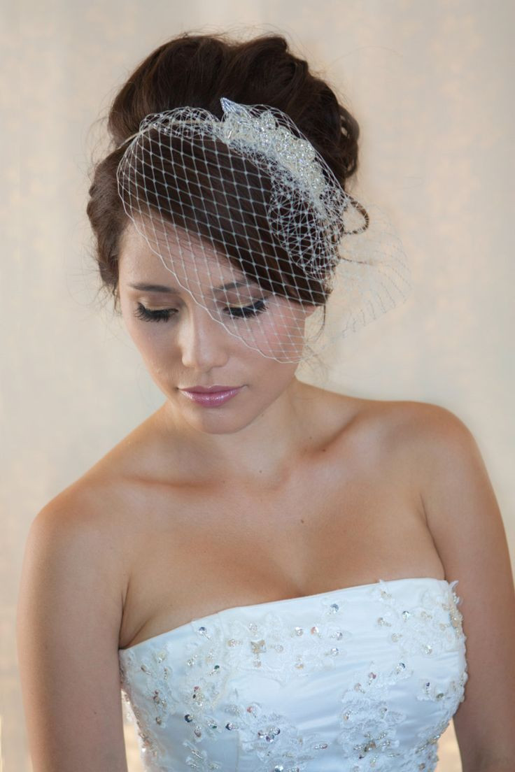 Wedding Updos With Birdcage Veil
 Birdcage Wedding Veil