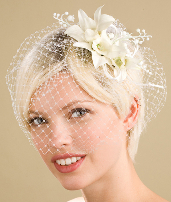 Wedding Updos With Birdcage Veil
 Hairstyles for the Birdcage Veils