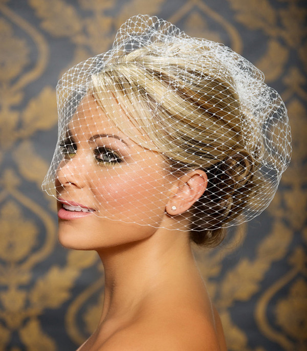 Wedding Updos With Birdcage Veil
 Hairstyles for the Birdcage Veils