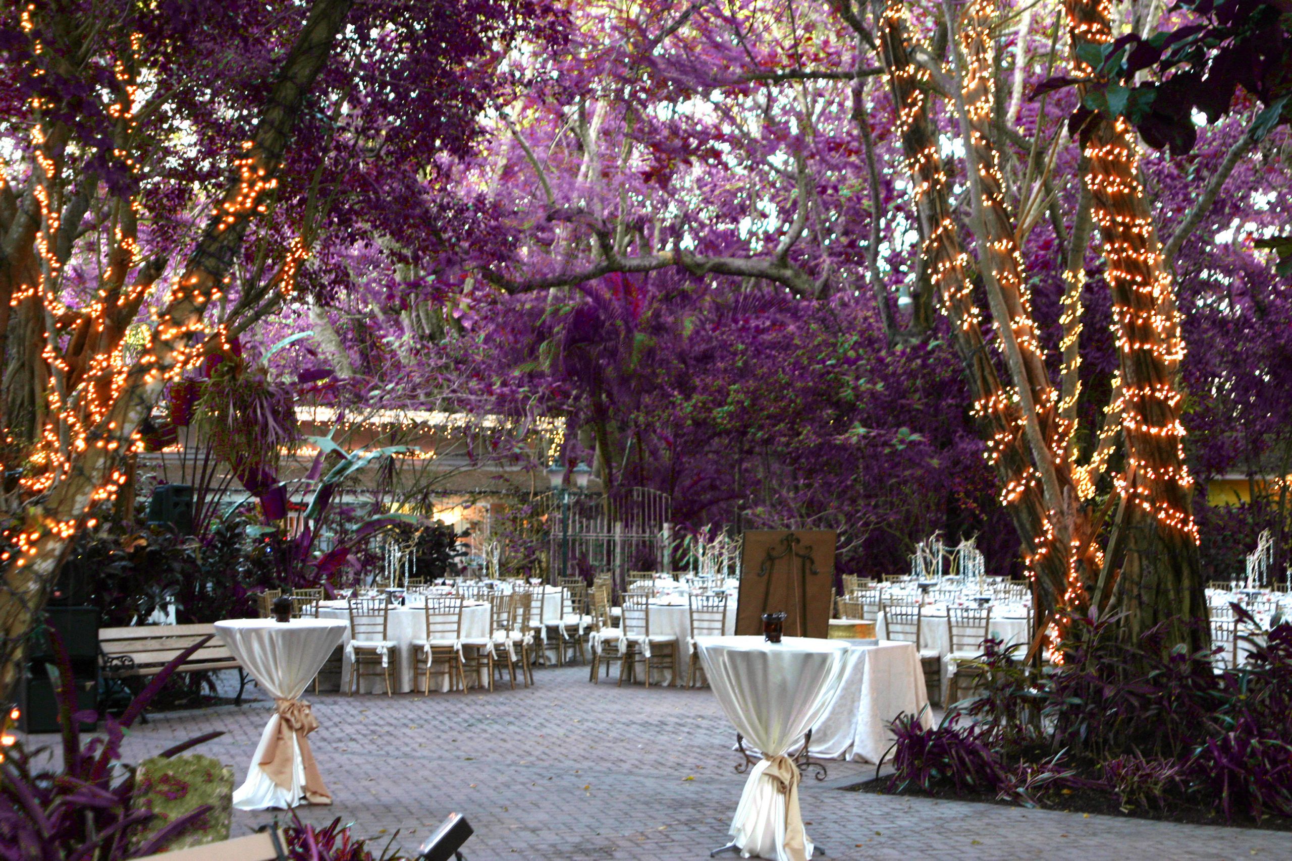 Wedding Venues In South Florida
 7 South Florida Wedding Venues to Keep on Your Radar