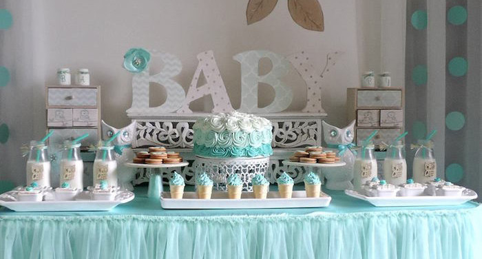 Welcome Baby Boy Party Ideas
 Kara s Party Ideas Turquoise Owl "Wel e Home Baby" Party