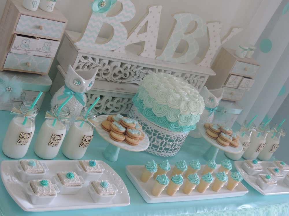 Welcome Baby Boy Party Ideas
 Baby Owl Baby Shower Party Ideas 3 of 25