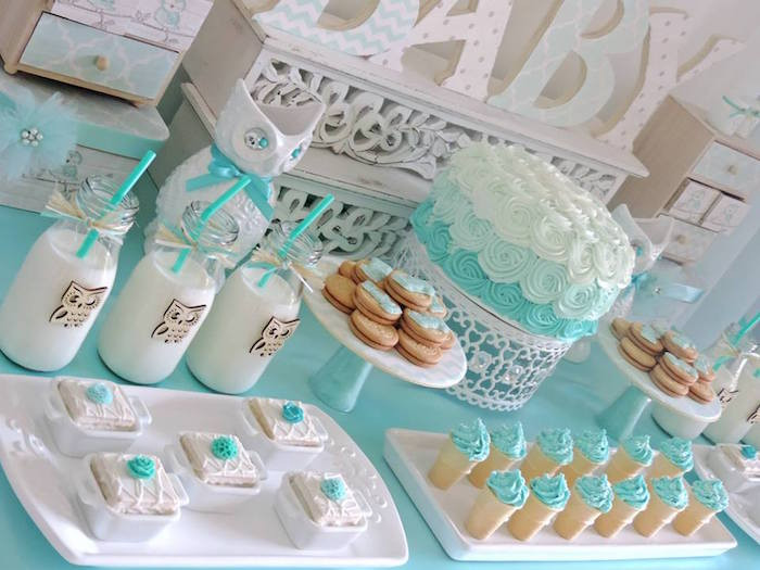 Welcoming Party For Baby
 Baby Shower con lechuzas