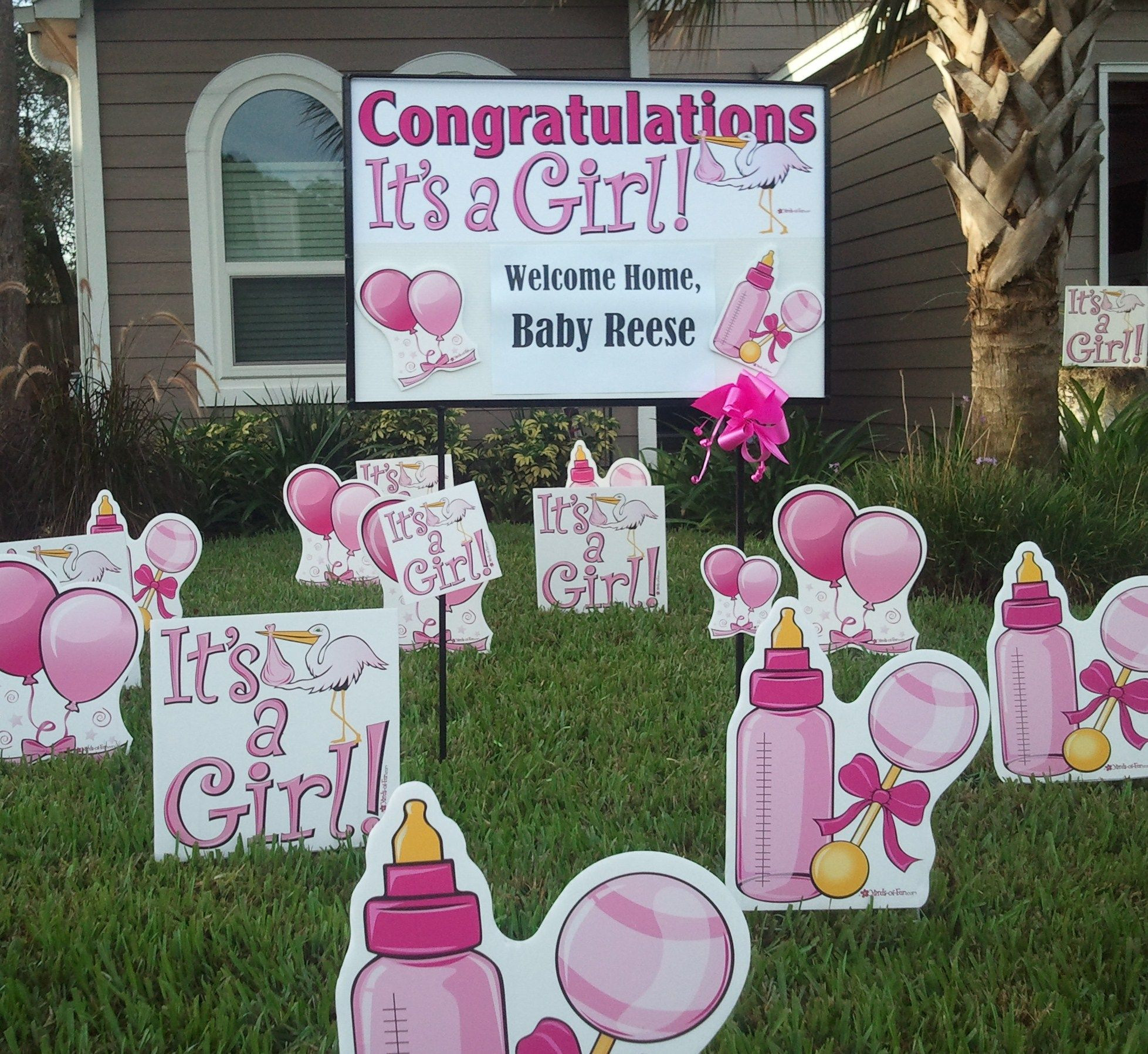 Welcoming Party For Baby
 Baby girl wel e home baby idea
