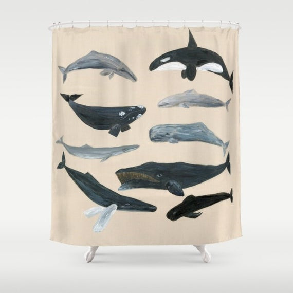 Whale Bathroom Decor
 Whale Shower Curtain whales shower curtain nautical by