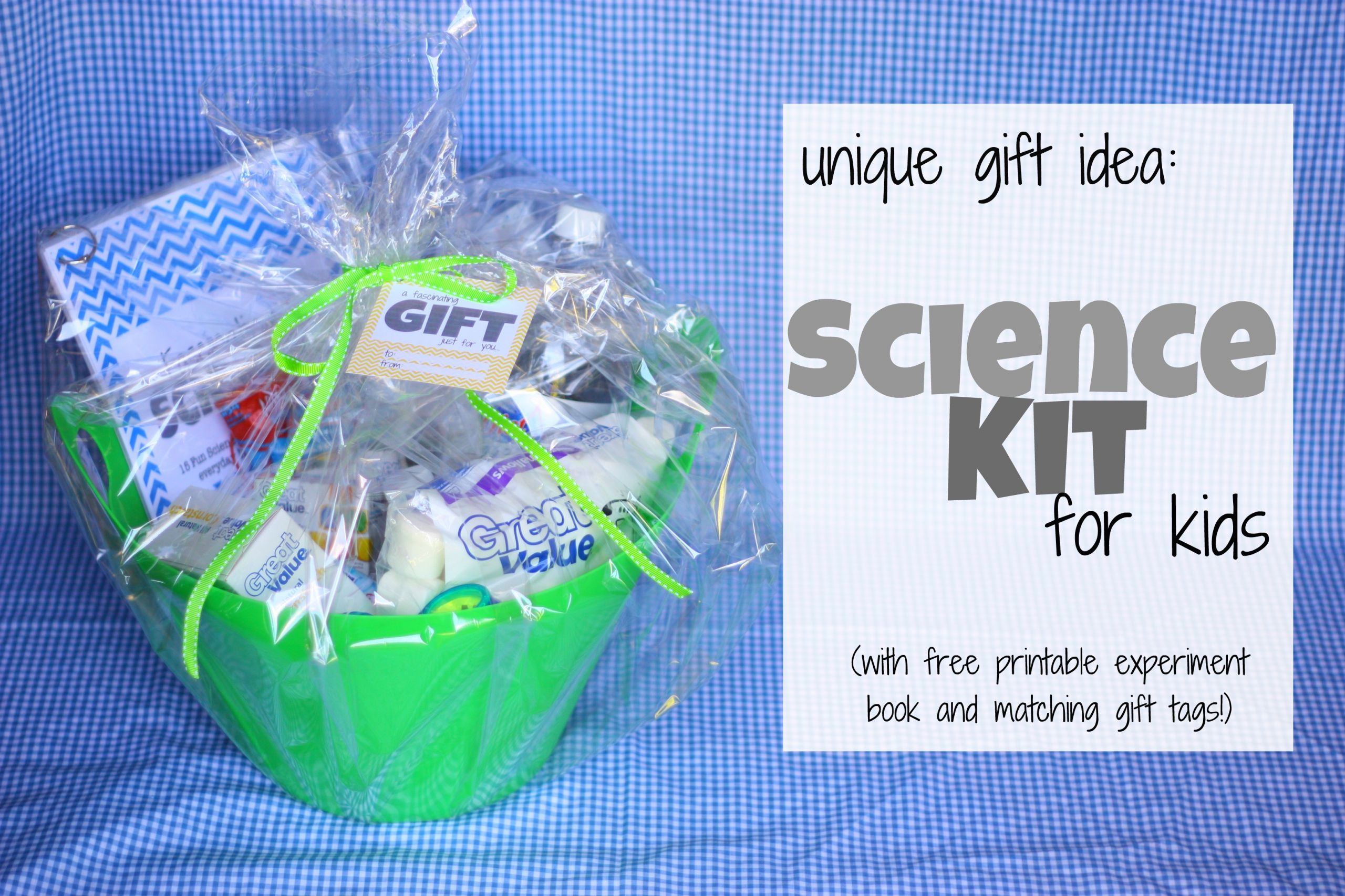 Where Can I Get Free Christmas Gifts For My Child
 Gift Idea Science Kit for Kids with free printables I