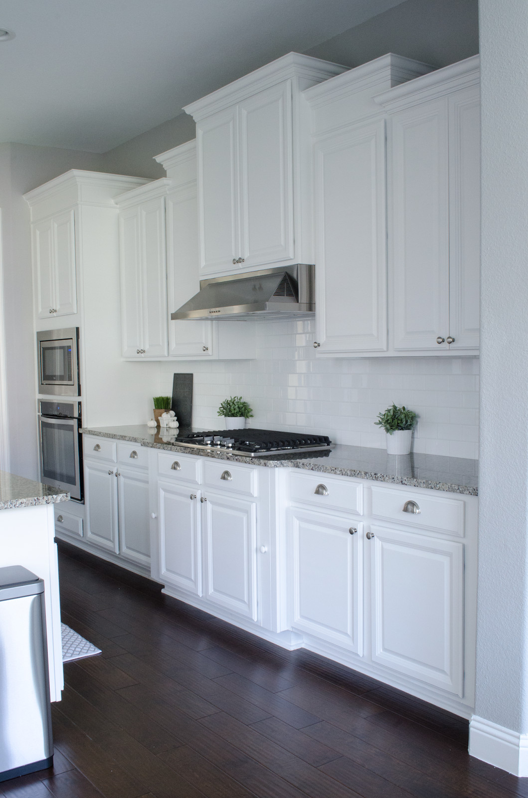 White Kitchen Cabinet Hinges
 white kitchen cabinets