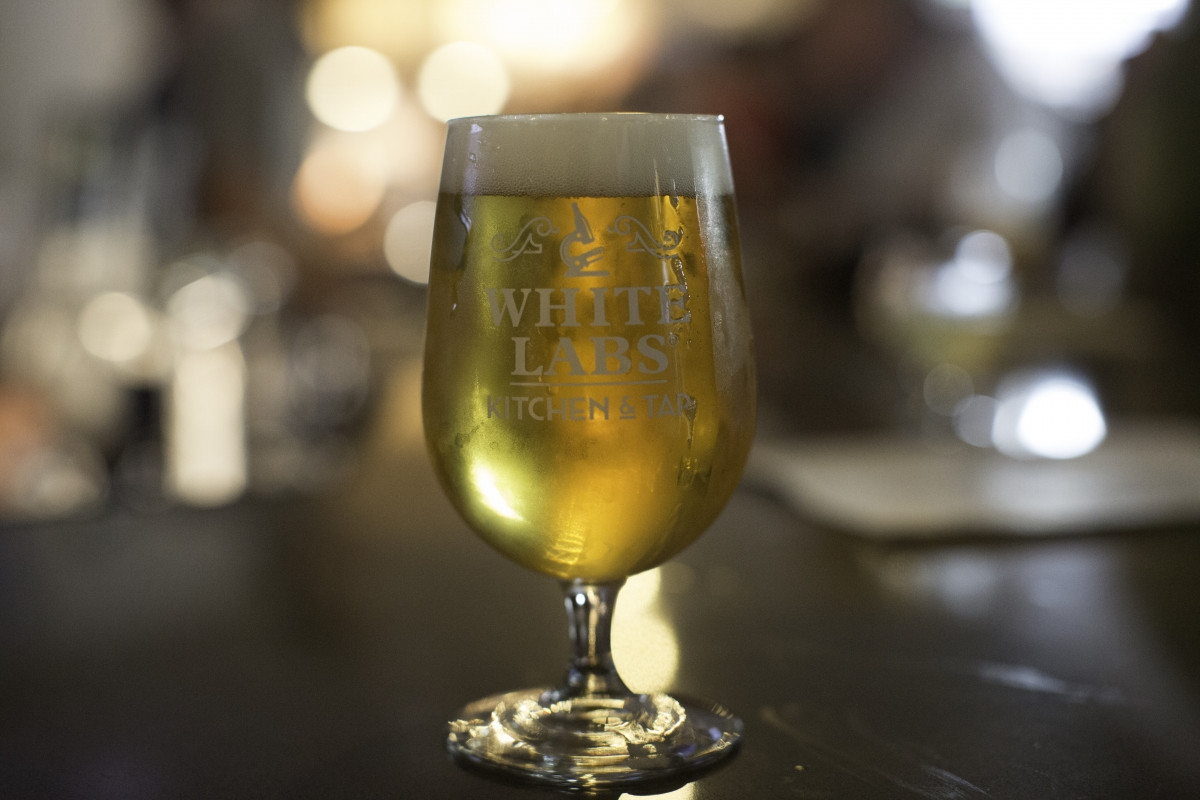 White Labs Kitchen And Tap
 White Labs Kitchen & Tap Now Open